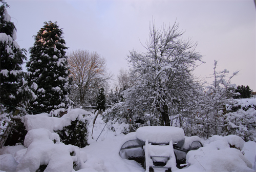 Scotland Gate, Northumberland (c)Martin Kitching/Northern Experience Images