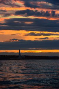 St Mary's Lighthouse,North Sea,Northumberland,Northern Experience Pelagics,North Sea Pelagics,dolphin spotting,dolphin spotting North Sea,dolphin spotting Northumberland,whale watching,whale watching North Sea,whale watching Northumberland