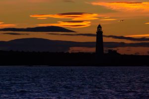 St Mary's Island,White-beaked Dolphin,Lagenorhynchus albirostris,North Sea,Northumberland,Northern Experience Wildlife Tours,Northern Experience Pelagics,whale watching UK,whale watching Northumberland,whale watching North Sea,dolphin spotting Northumberladn,dolphin spotting North Sea,dolphin spotting UK,North Sea pelagic