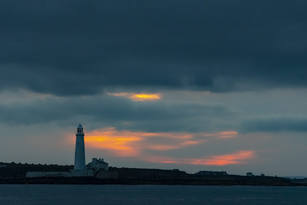 White-beaked Dolphins [Lagenorhynchus albirostris] were the highlight of our 4hr North Sea pelagic sailing on 11/07/18