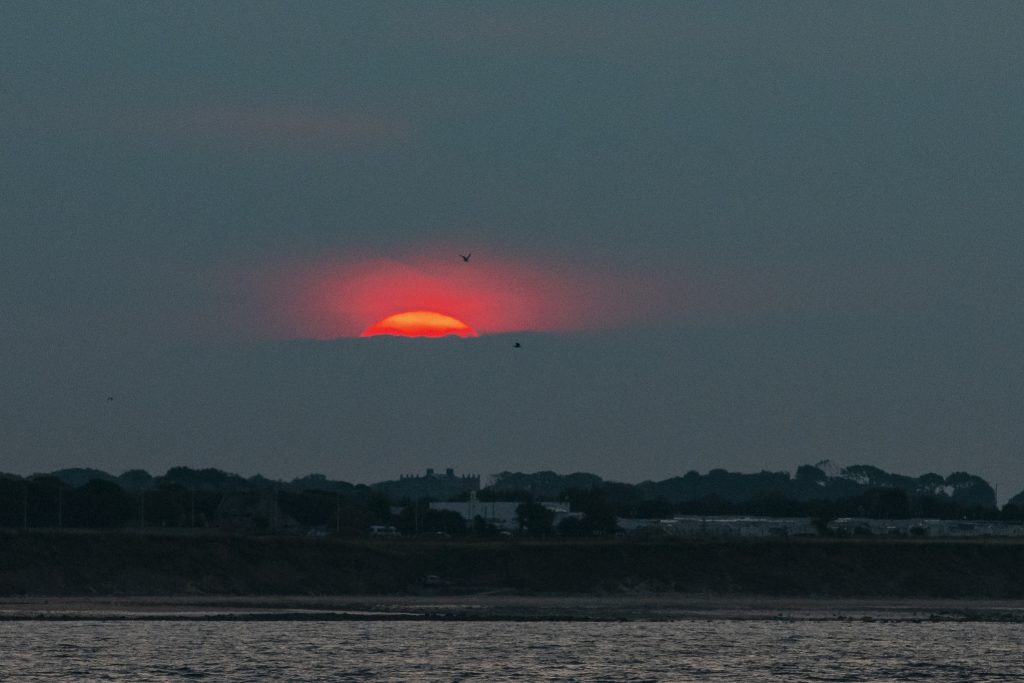 As well as whales, dolphins and seabirds ur 4hr North Sea pelagics put us in just thr right place for some spectacular sunsets