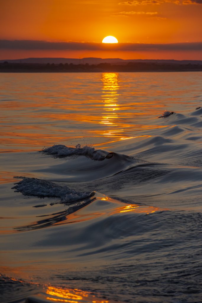 Our 4hr evening North Sea pelagic off the Northumberland coast on 25/07/18 proved to be a stunning sunset cruise