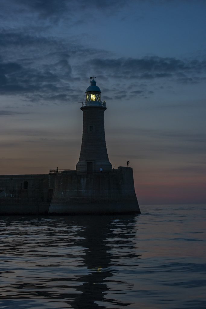 Our 4hr evening North Sea pelagic off the Northumberland coast on 25/07/18 proved to be a stunning sunset cruise