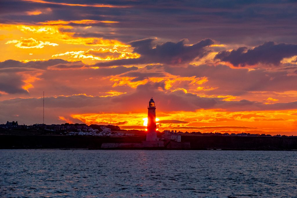 White-beaked Dolphin, Lagenorhynchus albirostris,Northumberland,dolphin spotting, dolphin spotting Northumberland, dolphin spotting UK, dolphin spotting England, dolphin spotting North Sea, whale watching Northumberland, whale watching UK, whale watching England, whale watching North Sea