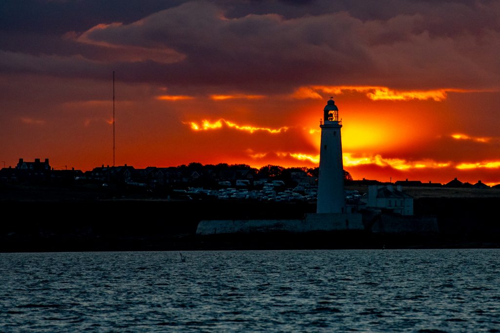 White-beaked Dolphin, Lagenorhynchus albirostris,Northumberland,dolphin spotting, dolphin spotting Northumberland, dolphin spotting UK, dolphin spotting England, dolphin spotting North Sea, whale watching Northumberland, whale watching UK, whale watching England, whale watching North Sea