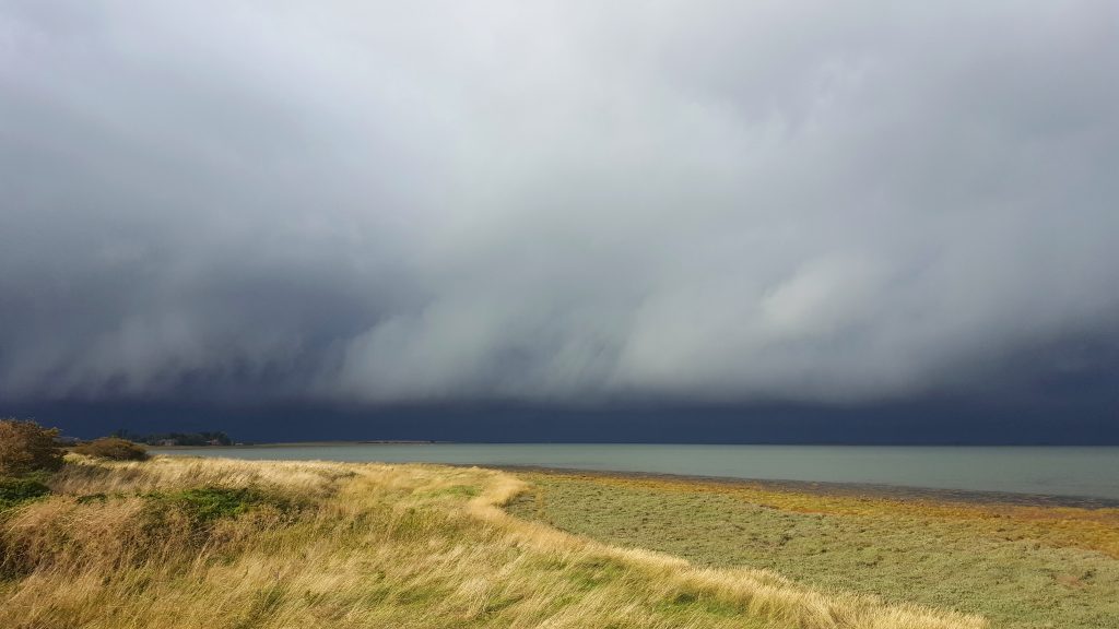 Holy island, Lindisfarne, Northumberland, Northern Experience Wildlife Tours, guided birdwatching UK, guided birdwatching Northumberland, guided birdwatching England, wildlife safari