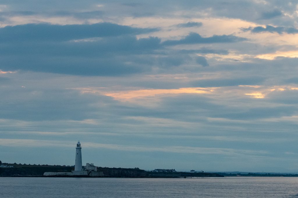 The first White-beaked Doklphins of our 2019 pelagic season appeared off Blyth on our 4hr evening sailing on 10/07/19